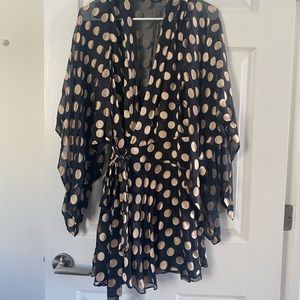 Zimmermann Polka Dotted Folly Dress